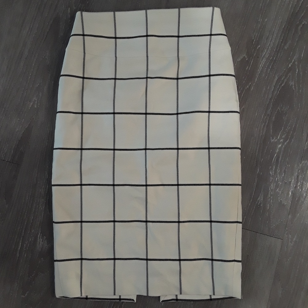 Express Pencil Skirt